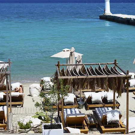 アパート Adriana ペフコホリ