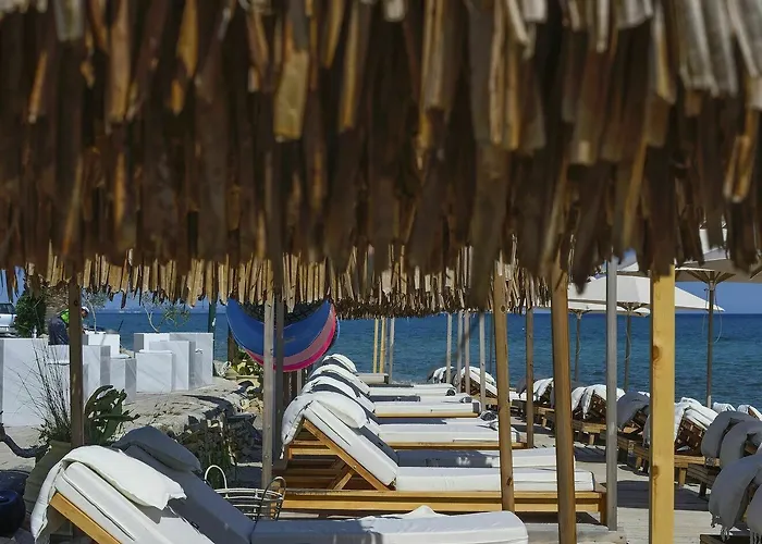 Adriana Pefkochori